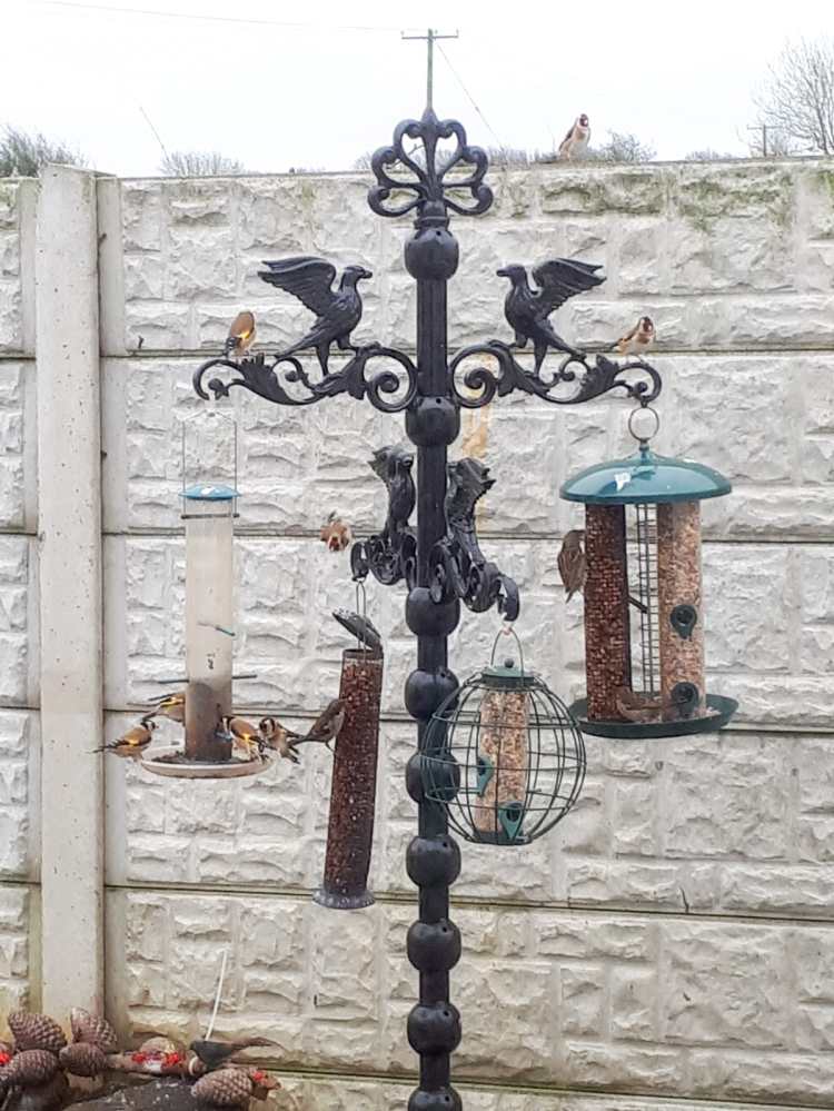 bespoke bird feeder